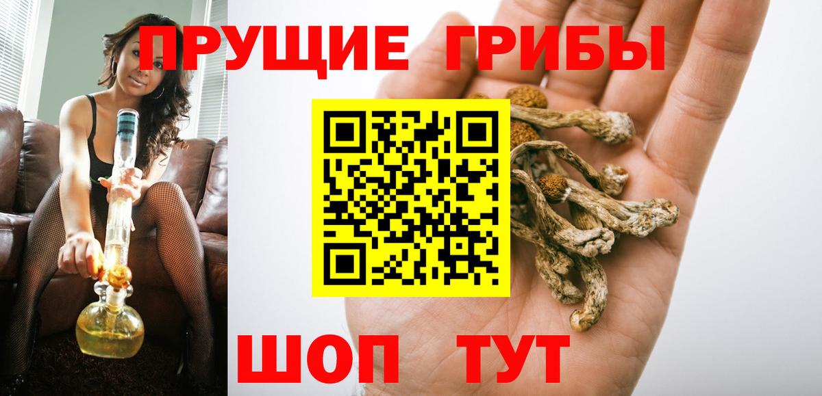 Щёлково  закладки  Вход с VPN  Галлюциногенные грибы Magic Shrooms  Галлюциногенные грибы мицелий 