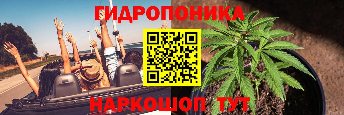 Марихуана марихуана  Бошки Шишки индика  Канабис тримм  Вход с VPN  Щёлково 